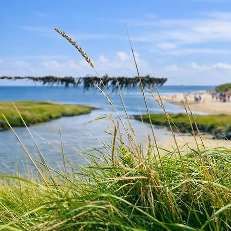 Frische Brise 504 Inkl Saisonstrandkorb